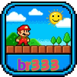 br333