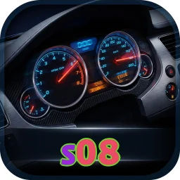 s08